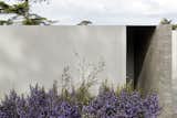 A Concrete House Is Softened by an Airy Internal Courtyard, Complete With an Olive Grove - Photo 2 of 19 - 