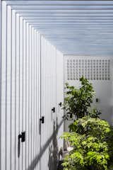T House / CTA | Creative Architects