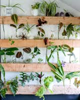 Living Room and Shelves The propagation wall is always changing and brings so much life to the space  Photo 3 of 19 in Big Booty Judy- Our Home on Wheels by Tina Wann