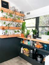 With a love of plants, Tina made greenery a focal point. She created wall to display her plant clippings. The thoughtful use of space allows her to keep plants without overwhelming the space. It’s also a work of art.