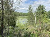 View to Beaver Pond