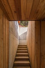 Staircase, Wood Tread, and Concrete Tread Stairs to Rooftop  Photo 14 of 24 in Decked Out Studio by Joanne Madeo