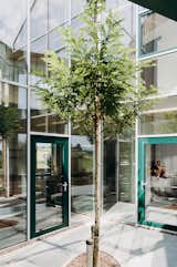 The triangular cut away shapes an inner courtyard with a fluid transition to the exterior.