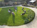 A socially-distanced meeting in the garden of New Ground.