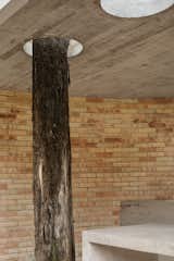 Forest House concrete ceilings