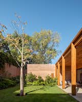 A singular Ceiba tree forms the focal point of the private garden space.