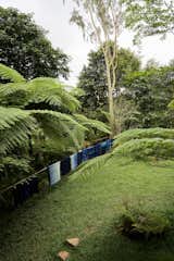 In the Tian Taru studio, Madras teaches artists and fashion designers the process of making indigo dyes — from the plantation to the final product.