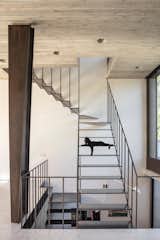 The slim, steel staircase is designed to allow maximum light and sight-lines.
