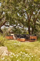 The cushy-yet-tailored Chicory collection fits perfectly in Douglas’s wild-yet-curated yard.  Photo 6 of 7 in Make Your Backyard Even Greener With This Sustainable Furniture Collection