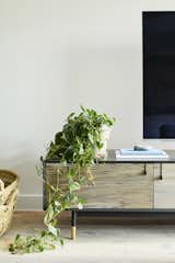 Media unit