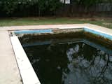 pool before renovation