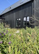 Barn surrounded by wild, native flowers
