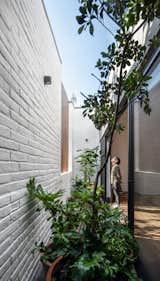 Outdoor, Small Patio, Porch, Deck, Landscape Lighting, Side Yard, Gardens, Vertical Fences, Wall, Trees, and Flowers View from shower to courtyard  Photo 16 of 17 in R.A House by Estudio Radillo Alba