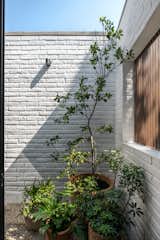 Outdoor, Side Yard, Landscape Lighting, Metal Fences, Wall, Trees, Vertical Fences, Wall, Garden, Flowers, Gardens, and Small Patio, Porch, Deck Interior courtyard - view from shower  Photo 13 of 17 in R.A House by Estudio Radillo Alba
