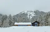 Snake River Cabin