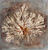Atlantic Seaweed Carragheen 2025 mixed media on canvas 36" x 36"