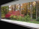 Living Room Fall view from front window  Photo 6 of 6 in Cleveland Contemporary by Sujata Khosla
