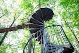 Spiral Staircase