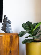 Custom wall mounted cabinetry and colorful planter