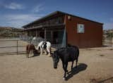 The design team used a prefab building system to construct the corrugated metal horse stables. 
