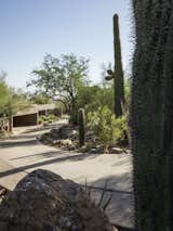 The driveway's large specimen ironwood trees and tall saguaro cactus create an impact when entering and exiting the property.