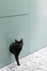 A Jewel Box Home in Melbourne Gets a Minty-Fresh Kitchen With a Cat Door - Photo 4 of 13 - 