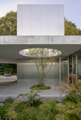 This Radically Transparent Home in Eindhoven Tests the Limits of Indoor/Outdoor Living - Photo 6 of 10 - 