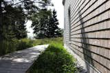 All native plants seed