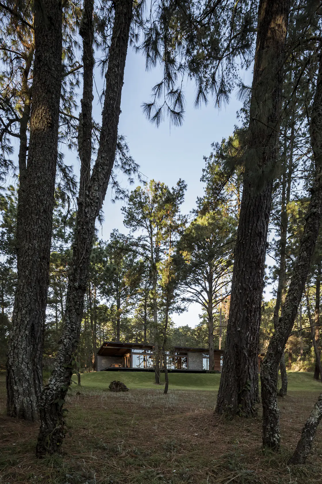 Photo 14 Of 18 In Valle Abierto House By Ravstudio Dwell