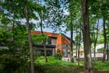 The expansive forested backyard