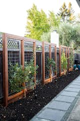 Lattices with espalier fruit trees 