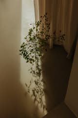 Detail of light