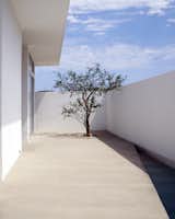 Greg and Gabriel used mainly steel, concrete and glass to design the house. 