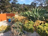 Most of our plantings were repurposed.