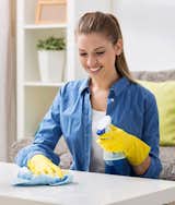 Everybody lose more time of daily cleaning because no one love when his home is dirty and unpleasant. There is no need to make your life harder, contact the company for professional cleaning services and save your time, go out with friends, family or just chill. Our company provides a wide variety of effective and affordable cleaning services like carpet cleaning, window cleaning, after builders cleaning, end of tenancy cleaning, antiviral sanitisation cleaning and e.c. in Warwick. Visit our website to see the total information about us. Approach 024 7735 0042.