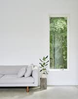 Nova Tayona Architects living room, white walls, gray sofa, forest view
