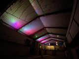 Full spectrum LED lighting allows for infinite automated lighting combinations with only 300 watts consumed  Photo 6 of 81 in The Bark… A Vision for the Future by NFM