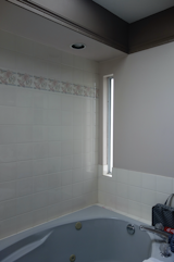 Bathroom Before