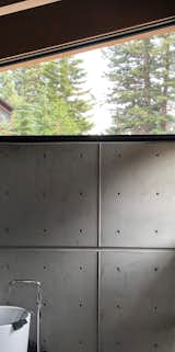 Weinman Bath Wall Detail