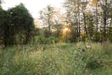 Outdoor, Trees, Field, Gardens, and Flowers We have a 2 acre field with a meandering jogging path that is full of wild flowers in the summer  Photo 1 of 47 in The Accord Rental House by S T U D I O 8 Architect