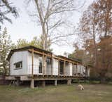 Outdoor, Front Yard, Trees, and Wood Patio, Porch, Deck  Photo 1 of 23 in House Dique Luján by franco riccheri