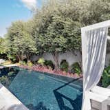 Outdoor, Trees, Back Yard, Large Pools, Tubs, Shower, and Gardens  Photo 16 of 20 in The R House by Design Lovers