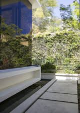 Outdoor, Garden, Raised Planters, Horizontal Fences, Wall, Shrubs, Hardscapes, Gardens, Trees, Concrete Fences, Wall, Grass, and Front Yard Entrance Courtyard & Greenwall  Photo 5 of 25 in Avenue Fresnaye Villa by Jenny Mills Architecture & Interiors