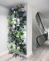Linden Residence 2