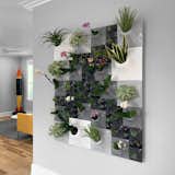 Node Wall Jaoudeh Residence 1