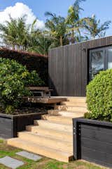 Angles of Studio / Established Garden