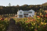 A crisp white accentuates the home’s exterior siding, natural beams, and surrounding vineyard landscape.&nbsp;