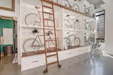 Art and Curio Shelving