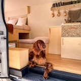 The family's Irish setter keeping watch over the wilderness.