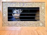 Detail of the kennel area with the family's schnauzer mix.